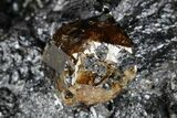 Fluorescent Zircon Crystal in Biotite Schist - Norway #175850-2